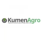 Kumen Gestión DXG Brasil